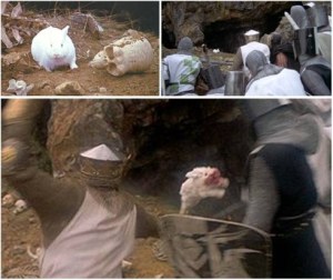 The Killer Rabbit of Caerbannog 